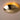 B87A8664_88_master.jpeg