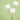 kushi-green.jpg