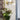 CoppaApertaApplique_0921_ambient03.jpg