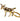 Gold donkey-shaped keychain on a white background