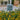 Decorative metal lantern among yellow flowers with a blurred garden background