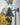 orsjo two enlighten