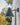 orsjo two enlighten