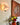 maison paname brand page two enlighten