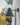 Outdoor Lighting