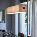 8Pli Foscarini Suspension Lamp Two Enlighten Los Angeles.jpg