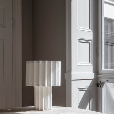 Plisse window.jpg