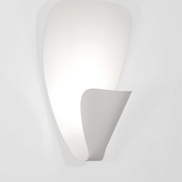 white 2_edited_edited.png