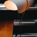schaffer3.23.22-38.jpg