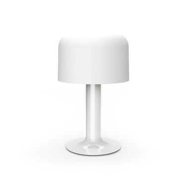 10497-blanc_edited.jpg