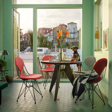 Wire_Chair_DKR_2_Gue_ridon_1288950_master_master.jpg
