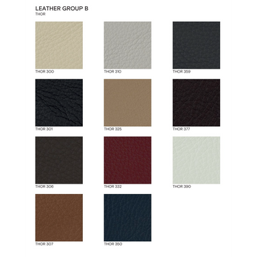 Thor Leather_edited.png