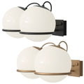 5Sarfatti Model 238_2 for Astep Two Enlighten.jpg