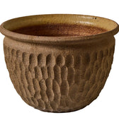 V3509 planter maxwell
