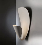 two enlighten (8).jpg