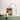 carin_poytavalaisin_poytavalaisin_innolux_615994_1400x_master.jpeg