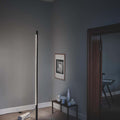 Astep_FwS_Model1063_light_01_300dpi_mast