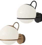 3Sarfatti Model 237_1 for Astep Two Enlighten.jpg