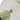 Tom Dixon Bell Portable Lamp 15.jpg