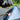 DSCF9330.JPG