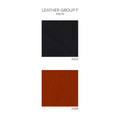 aj52 leathers_edited.png