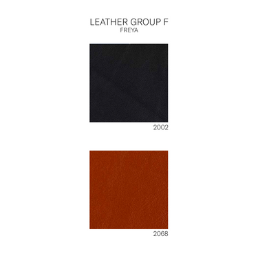 aj52 leathers_edited.png