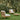 Tradition Collection Teak Outdoor Furniture Fritz Hansen Two Enlgihten