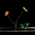 auboeck aorta vase large and small with flowers.jpg