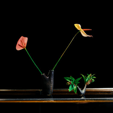 auboeck aorta vase large and small with flowers.jpg