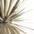 3Sun-Light of Love Foscarini Two Enlighten.jpg