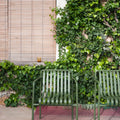 Shade Outdoor.jpg