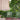 Shade Outdoor.jpg