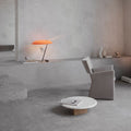 1Sarfatti Model 548 for Astep Two Enlighten.jpg