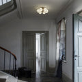 6Sarfatti Model 2042_6 for Astep Two Enlighten.jpg