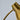 Two Enlighten - Jan 17th 2025 - 046 - Under 3.5 MB -_.jpg