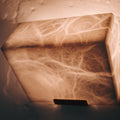 JE-house-2.22-06.jpg