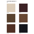 Sif Leather_edited.png