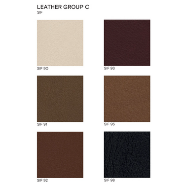 Sif Leather_edited.png