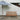 capri 30 umbrella foot frizt hansen