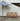 capri 30 umbrella foot frizt hansen