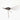 bird6.jpeg