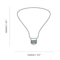 9Noma E26 LED Glass Bulb Tala Two Enlighten Los Angeles.jpg