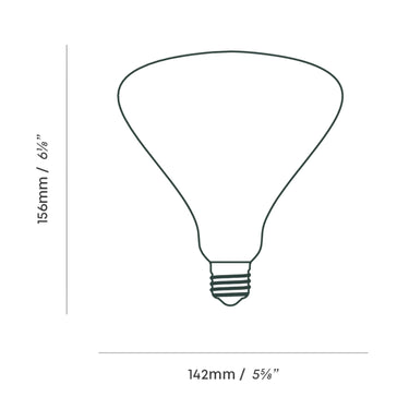 9Noma E26 LED Glass Bulb Tala Two Enlighten Los Angeles.jpg