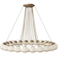 3Sarfatti Model 2109_24_14 for Astep Two Enlighten.jpg