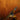 DSCF9808.jpg