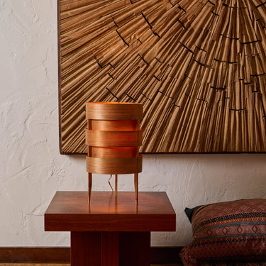 v3502 jakobsson light in situ.jpg