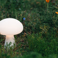 two-enlighten-portable-lamps-21.jpg