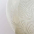 two_enlighten_details5_l_master.jpg