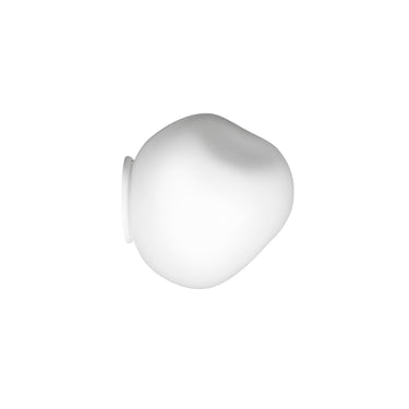 Piccola.jpg
