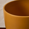 V3504 planter gainey detail